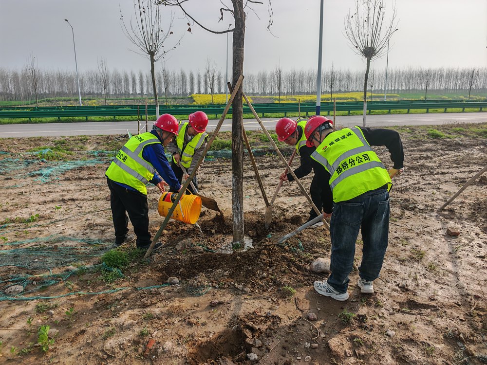 陜煤建設(shè)路橋分公司荊州項(xiàng)目部開(kāi)展植樹(shù)活動(dòng)